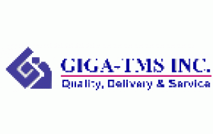 GIGA-TMS