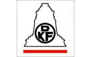 DKF Group