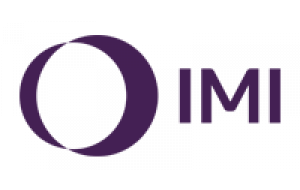 IMI PROCESS