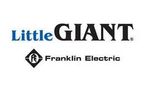 Little Giant