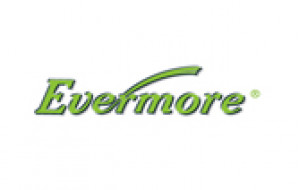 Evermore Machine