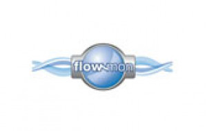 Flow-Mon