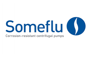 SOMEFLU