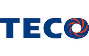 TECO Electric & Machinery